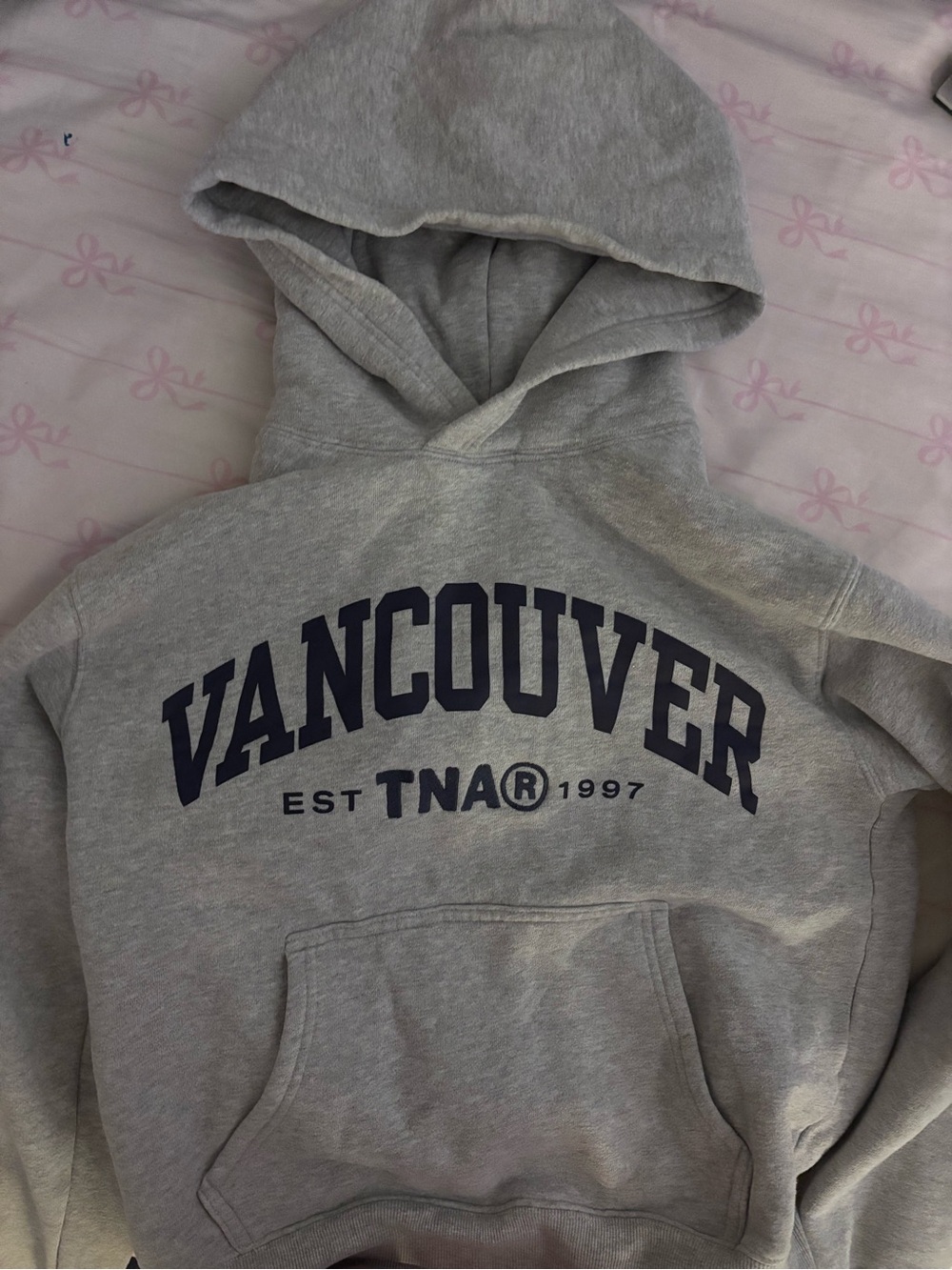 Aritzia/TNA Light Gray Hoodie with Navy Vancouver Graphic
